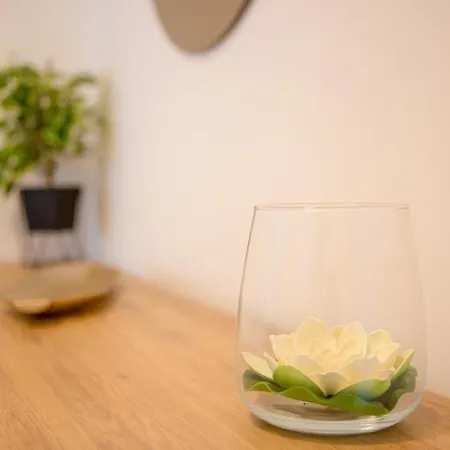 Casa de hóspedes Luxury Vibrass 3*