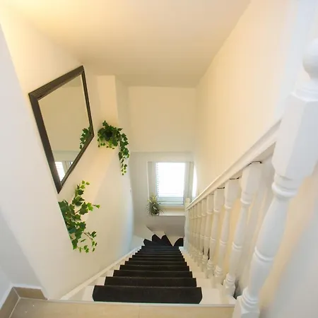 Luxury Vibrass Split