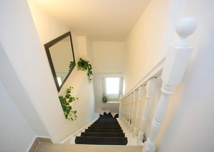 Luxury Vibrass Split